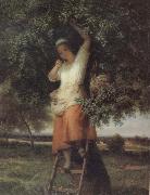 unknow artist Farmer oil painting reproduction